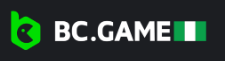 The Ultimate Guide to the BC.Game Betting Site