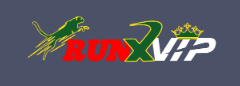 Discover the Exciting World of Runx Bet 42 Discover the Exciting World of Runx Bet 42
