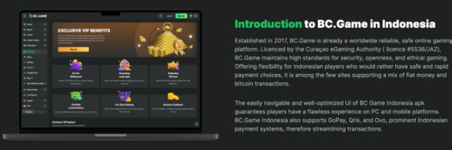 The Ultimate Guide to Bcgame Your Path to Blockchain Gaming
