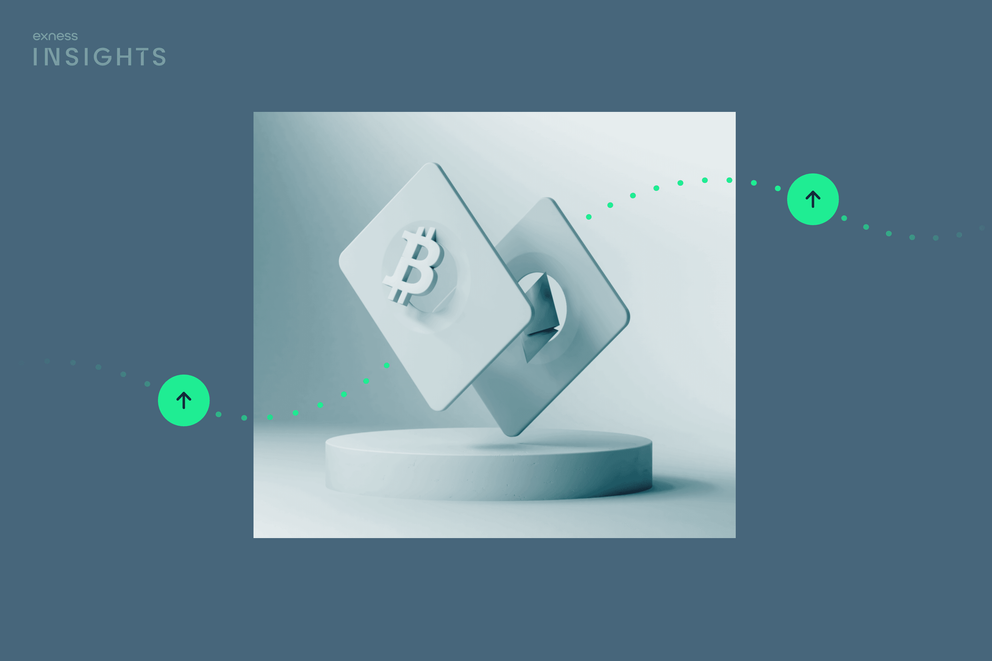 Understanding the Exness Trading Platform Understanding the Exness Trading Platform