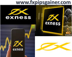 Exness Program For Computers A Complete Guide