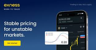 Explore the Exness Program For Computers Empower Your Trading Experience