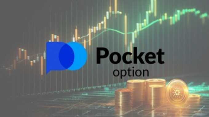 Pocket Option Training A Comprehensive Guide to Mastering Your Trading Skills