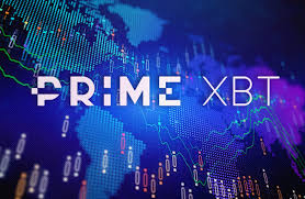 Understanding the Importance of Risk Disclosure A Comprehensive Guide to Risk Disclosure PrimeXBT