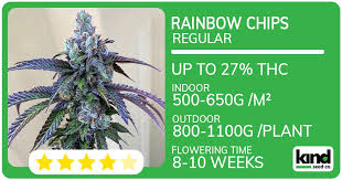 Your Complete Guide to Cannabis Seeds Canada Your Complete Guide to Cannabis Seeds Canada