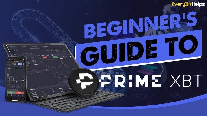 A Deep Dive into PrimeXBT Forex Trading